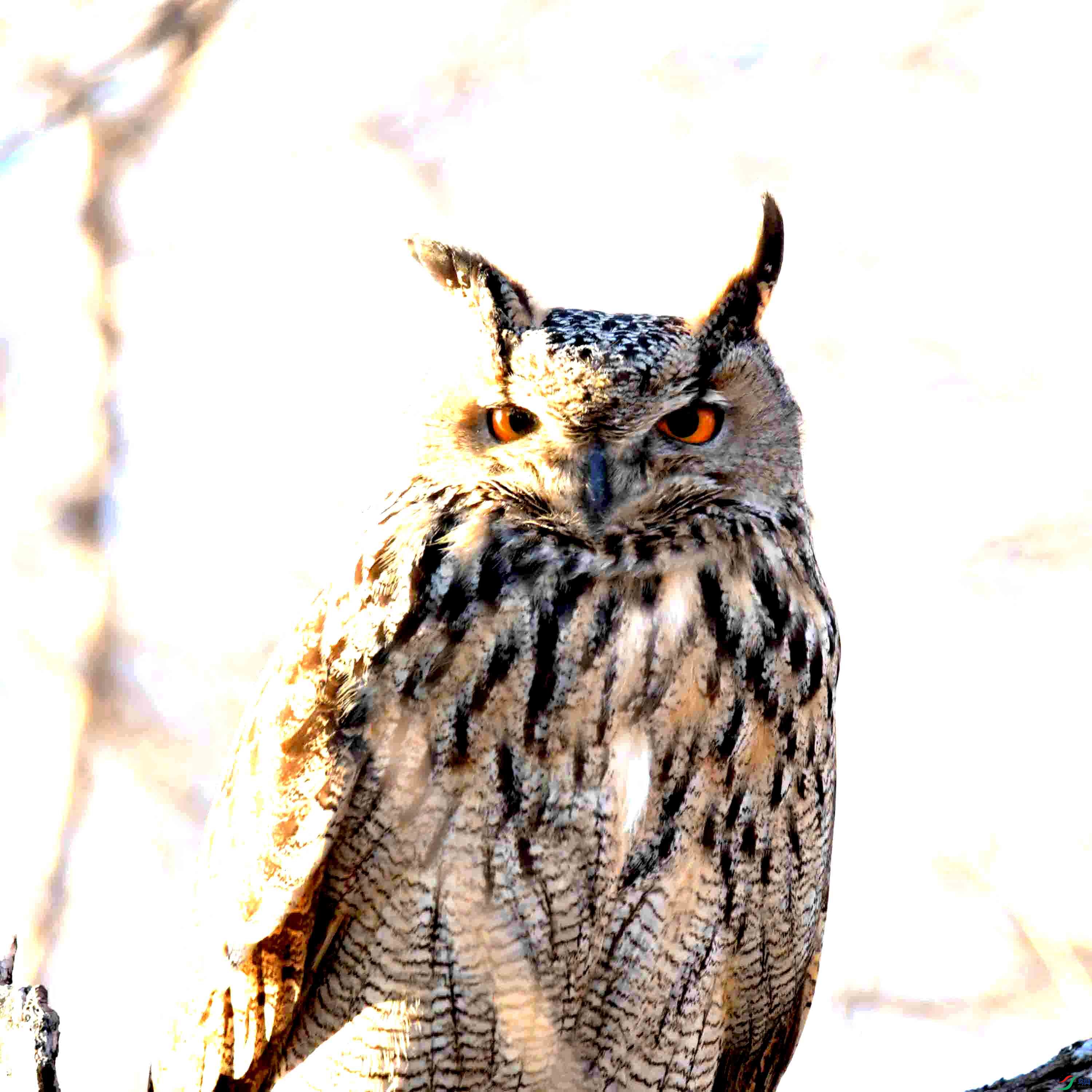 DSC_8322.JPG