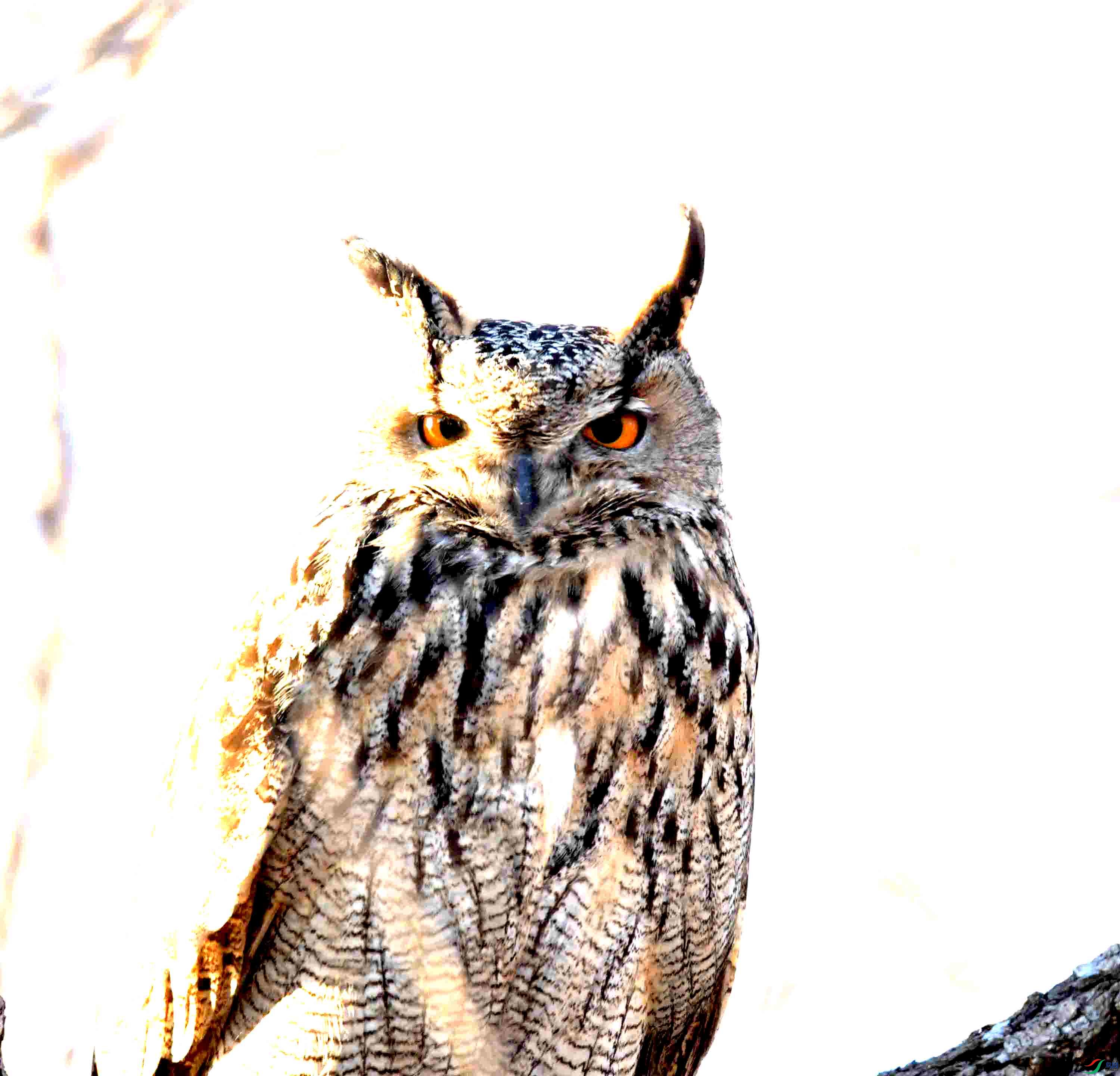 DSC_8323.JPG
