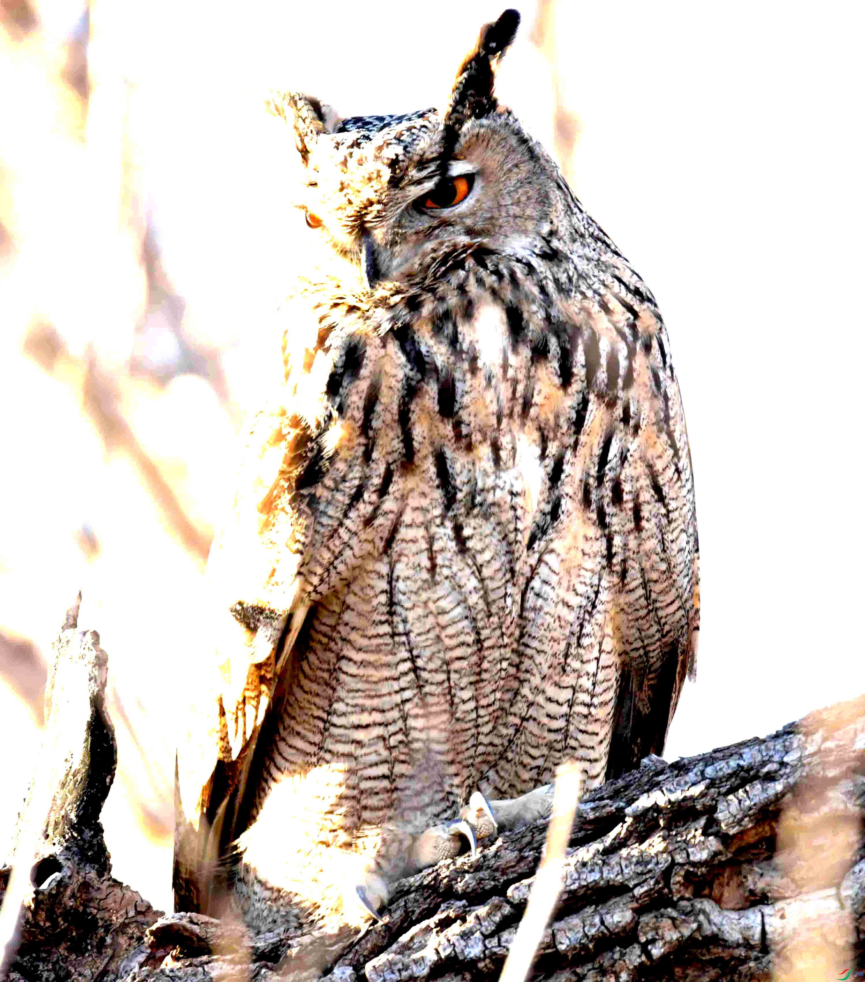 DSC_8345.JPG
