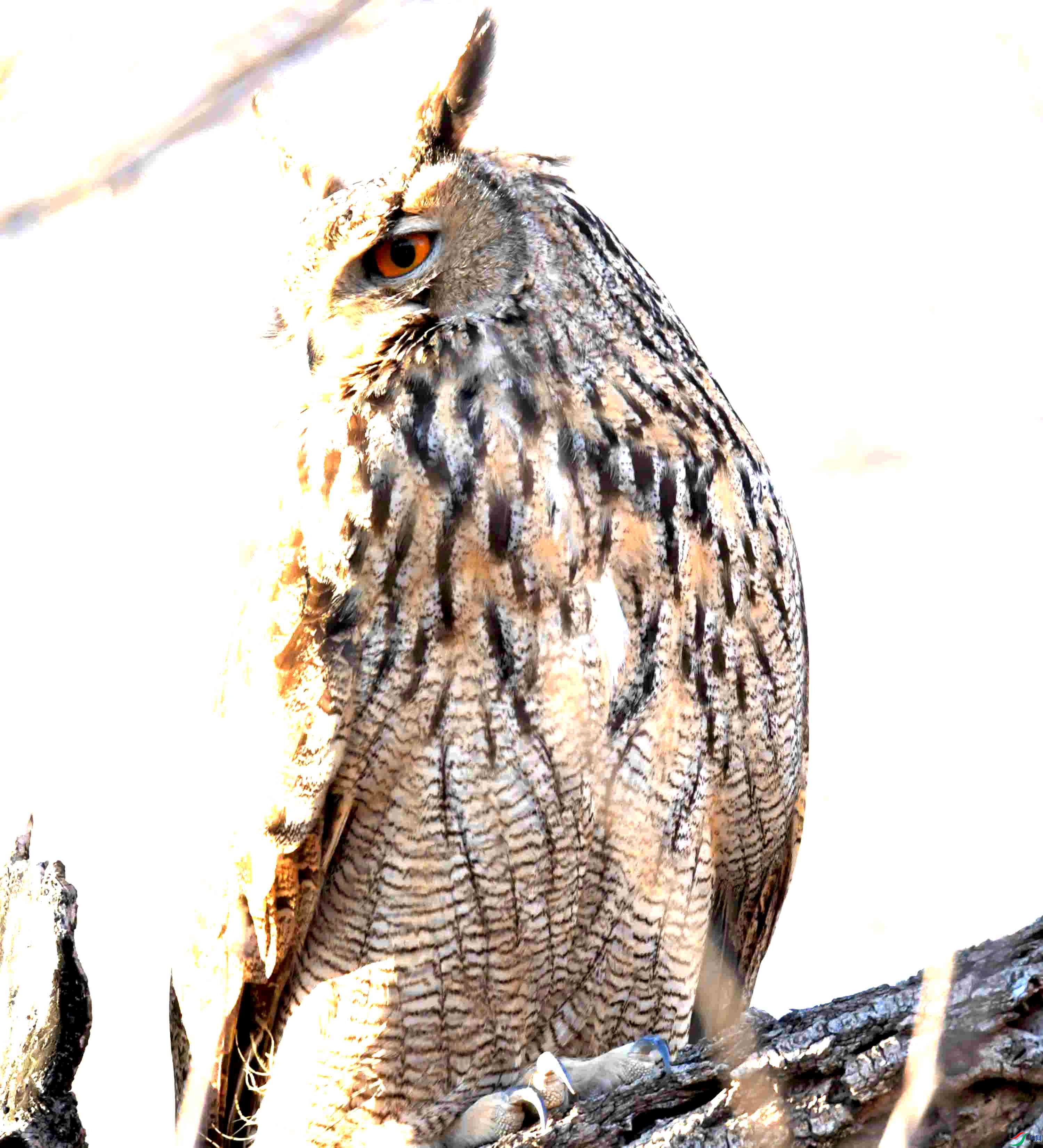 DSC_8335.JPG