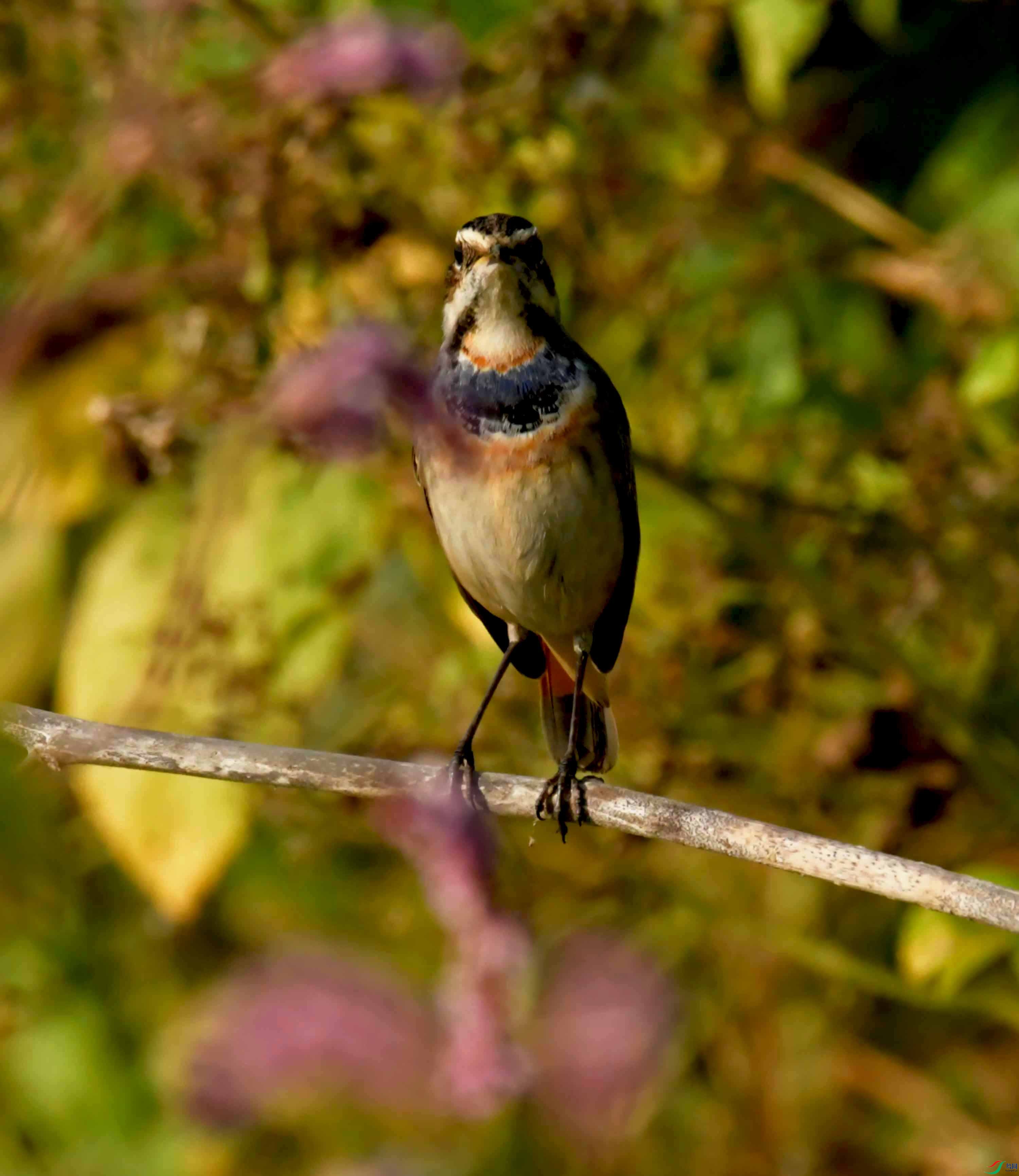 DSC_0914.JPG