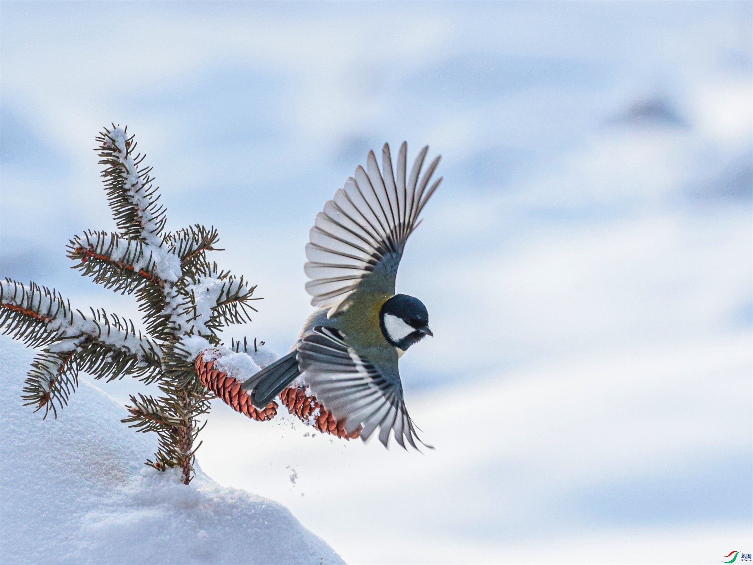 1K3A4202 ����1.jpg