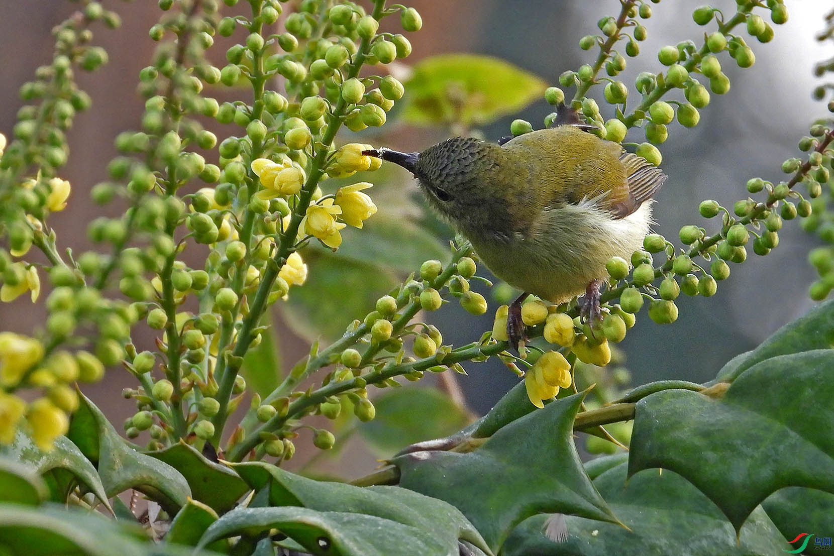 DSCN2748.jpg