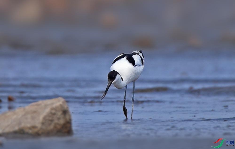 ������ (5).jpg