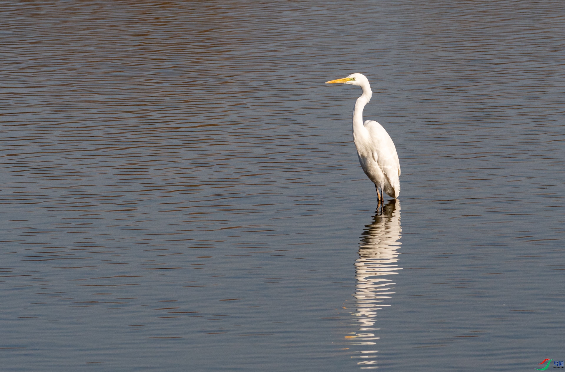 DSC_3630.jpg