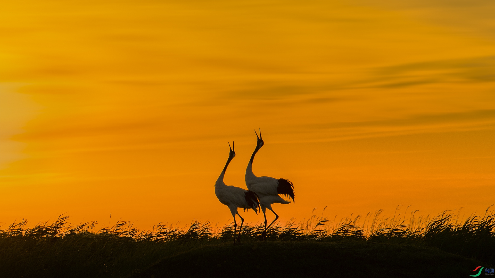 ��ͬһ�׸衷 _DSC8147.jpg