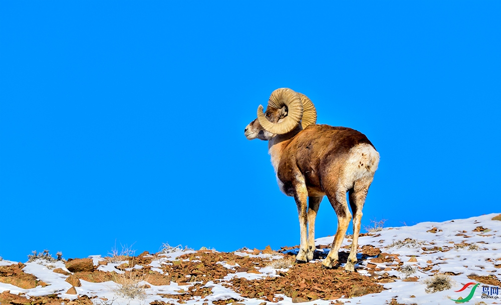 DSC_0010 ����.jpg