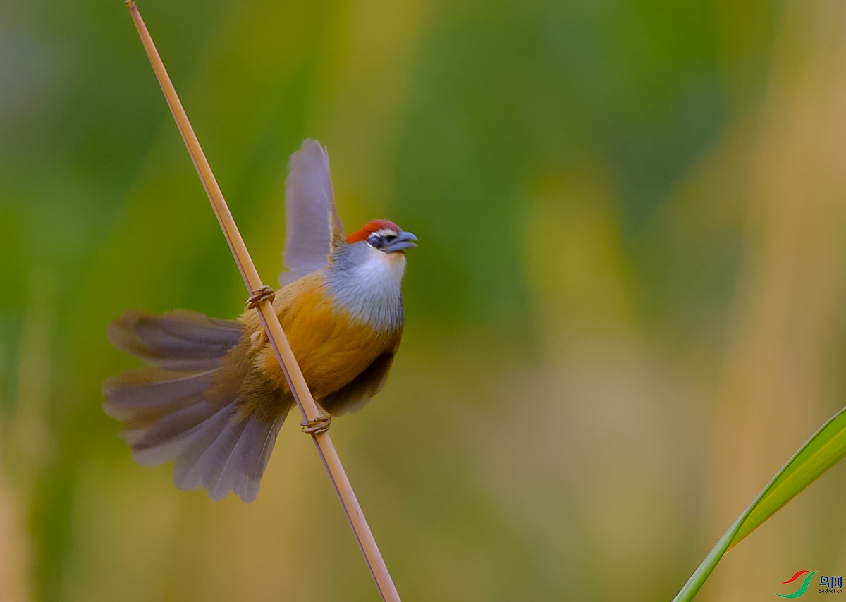 DSC_2286.JPG