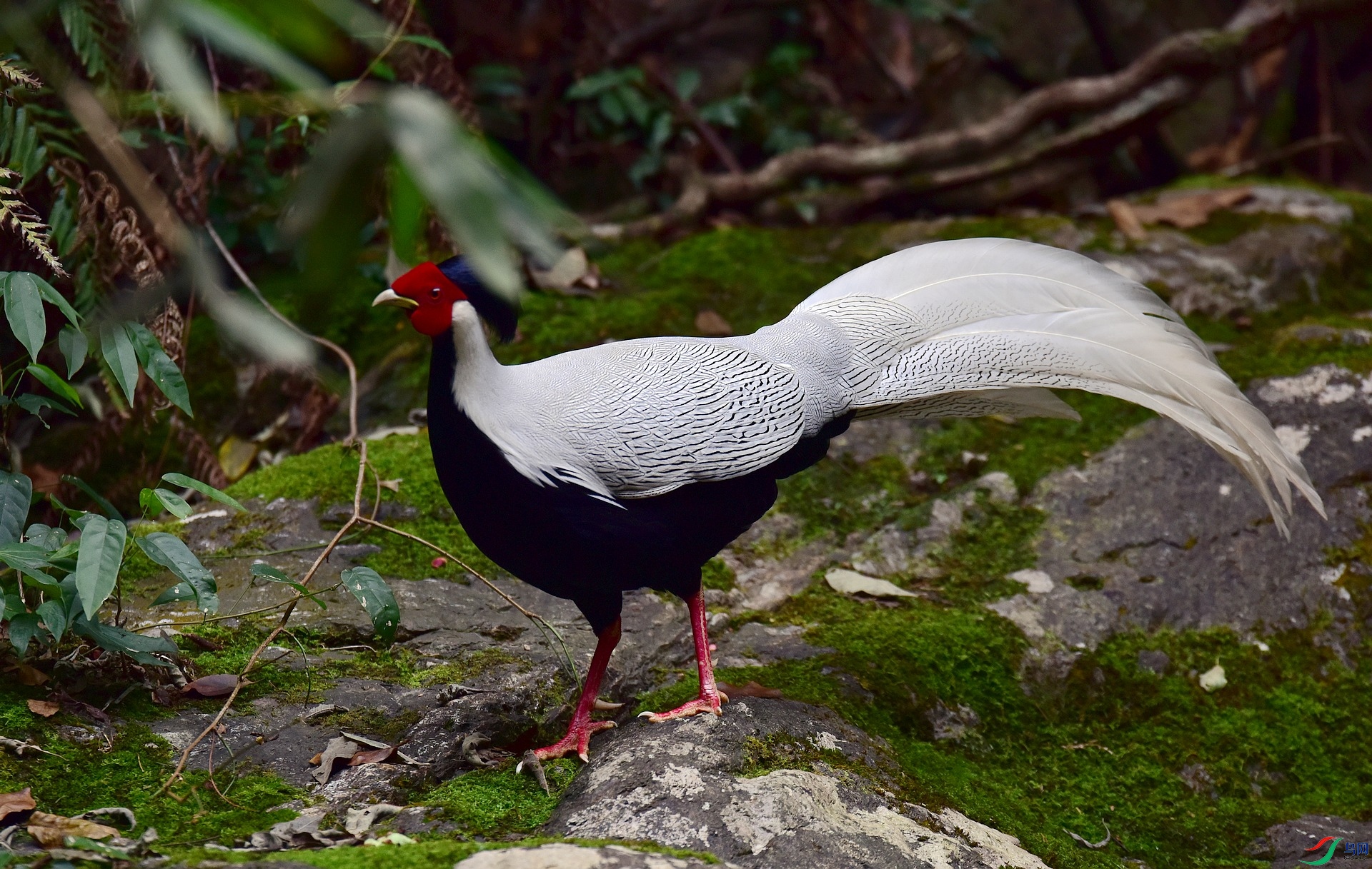 D8I_1302.jpg
