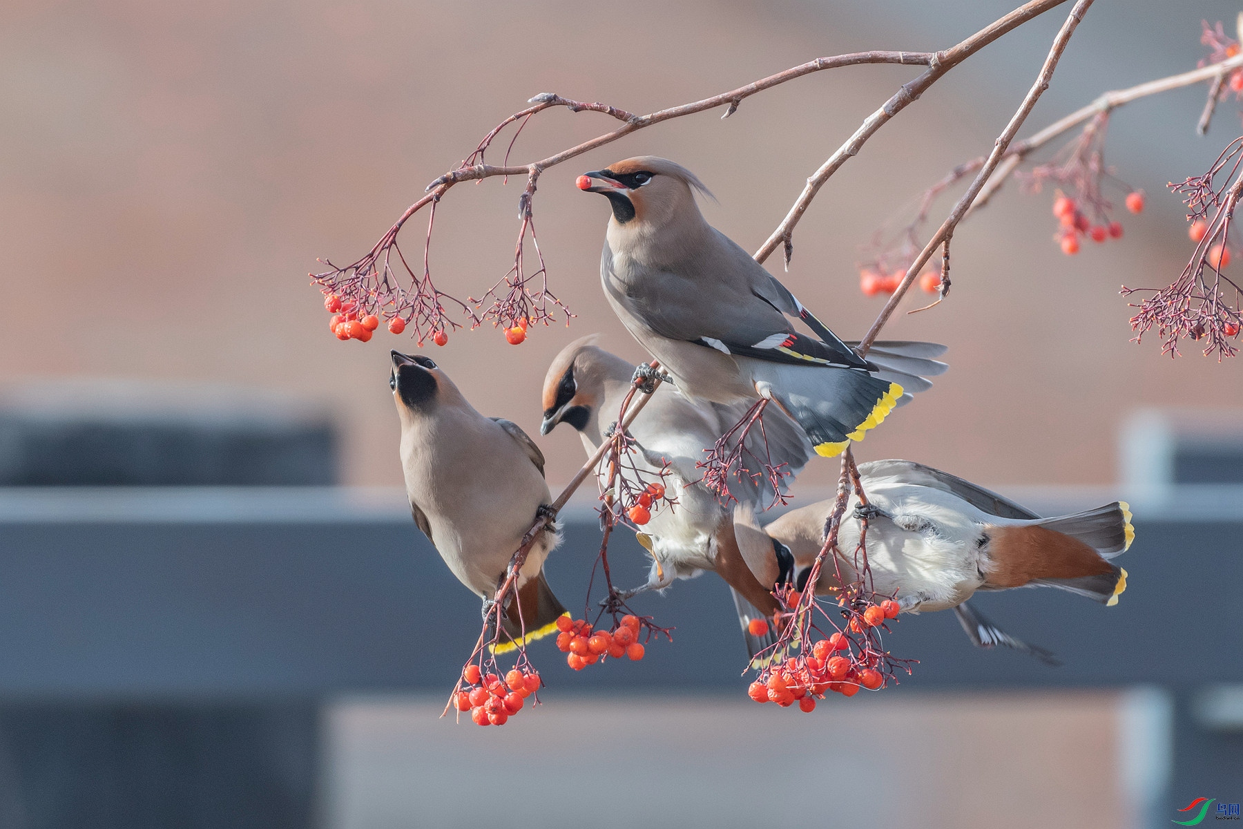 DSC_0054_��ͼ��_����.jpg