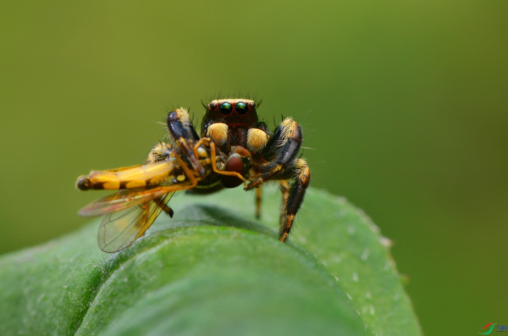 DSC_7102 ����.jpg