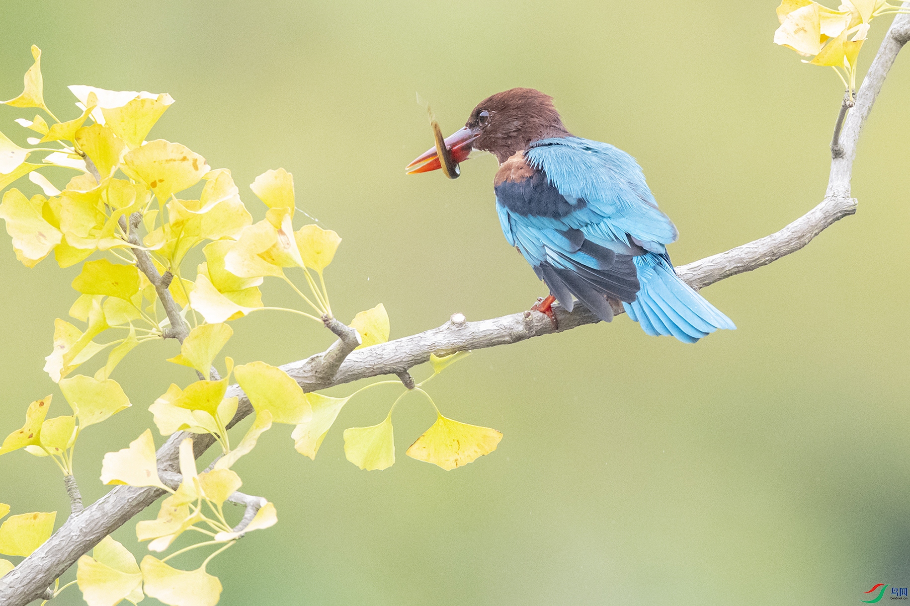 7761 ����.jpg