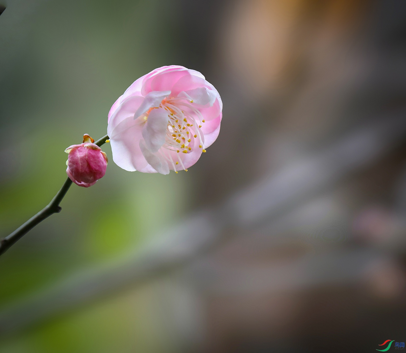 00000583A0823 ����00 ��800k ����.jpg