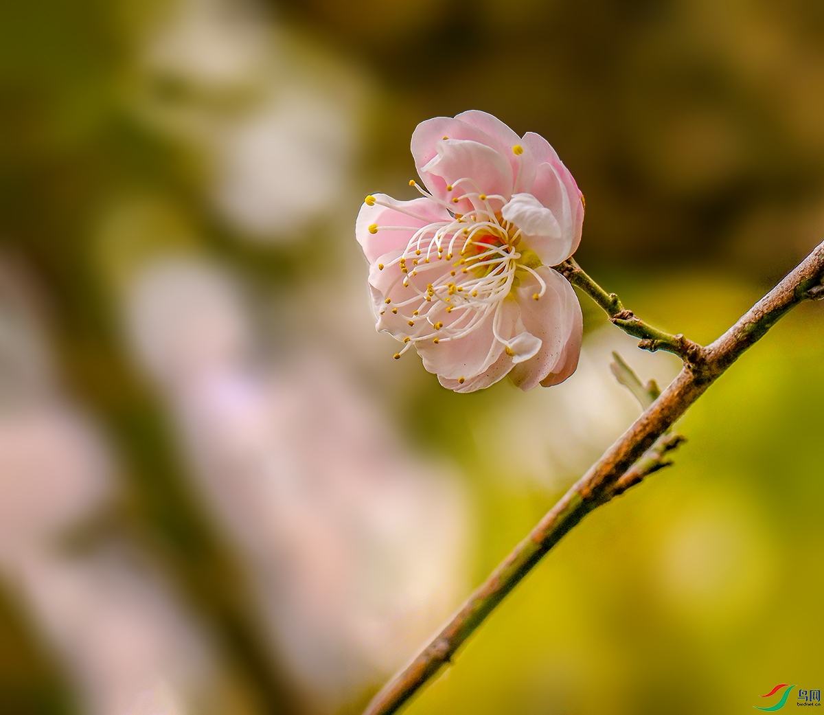 00000583A0825 ��800k.jpg