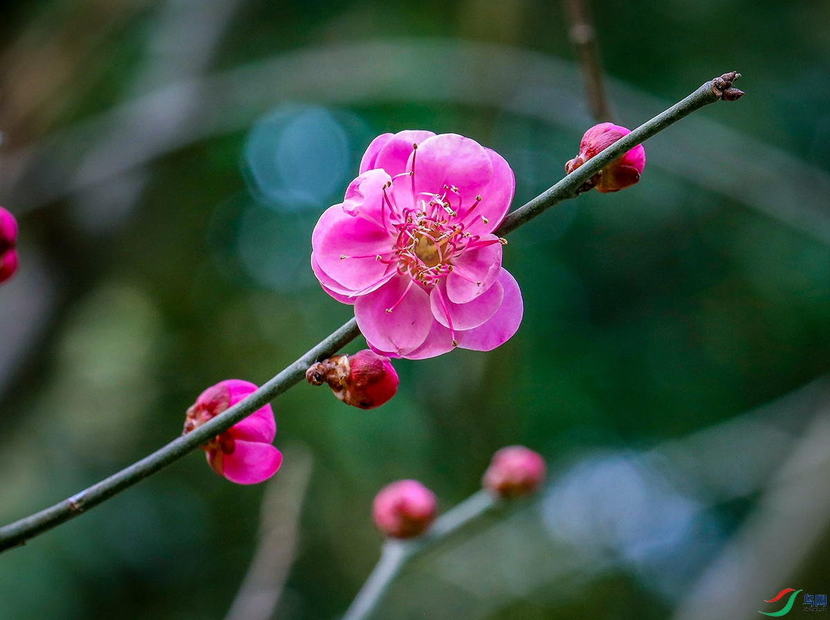 00000583A0875 ����800k.jpg