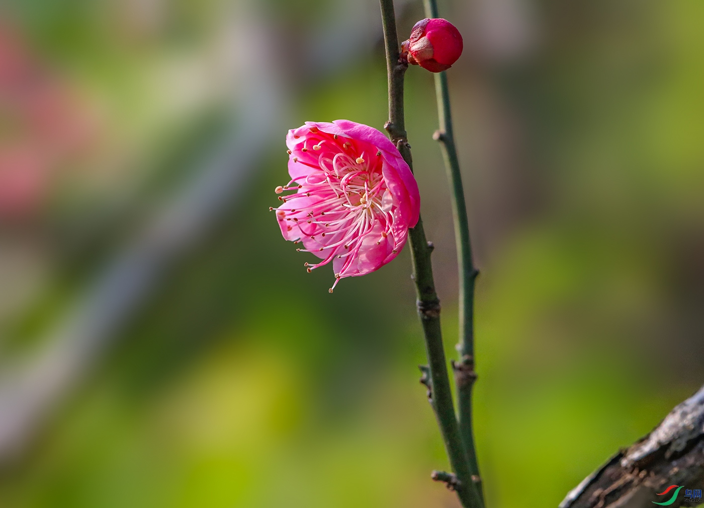 00000583A0876 ����800k.jpg