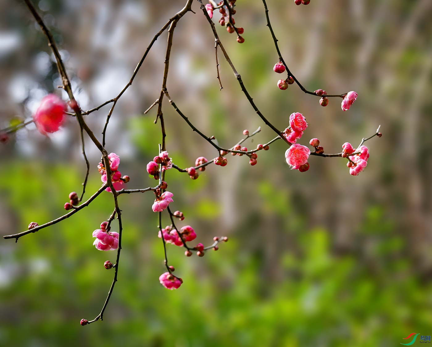 00000583A0877 ����800k.jpg