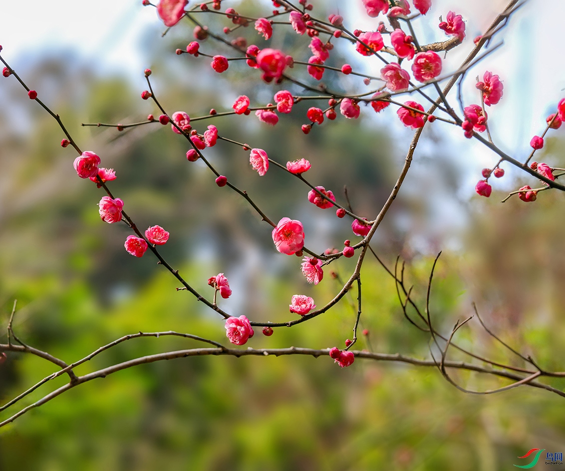 00000583A0878 ����800k.jpg