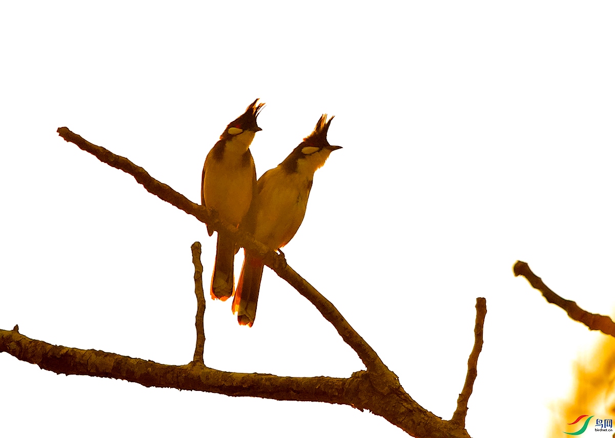 DSC_3204.JPG
