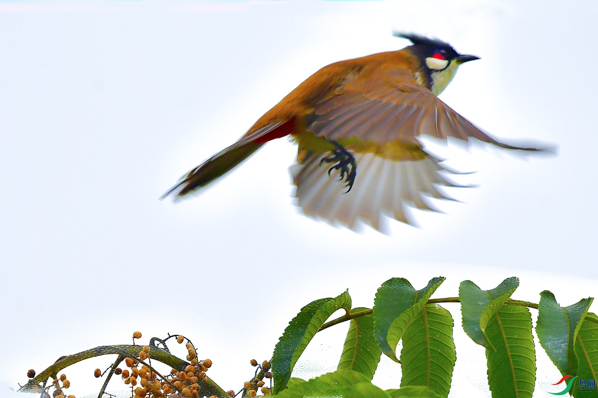 DSC_7041.JPG