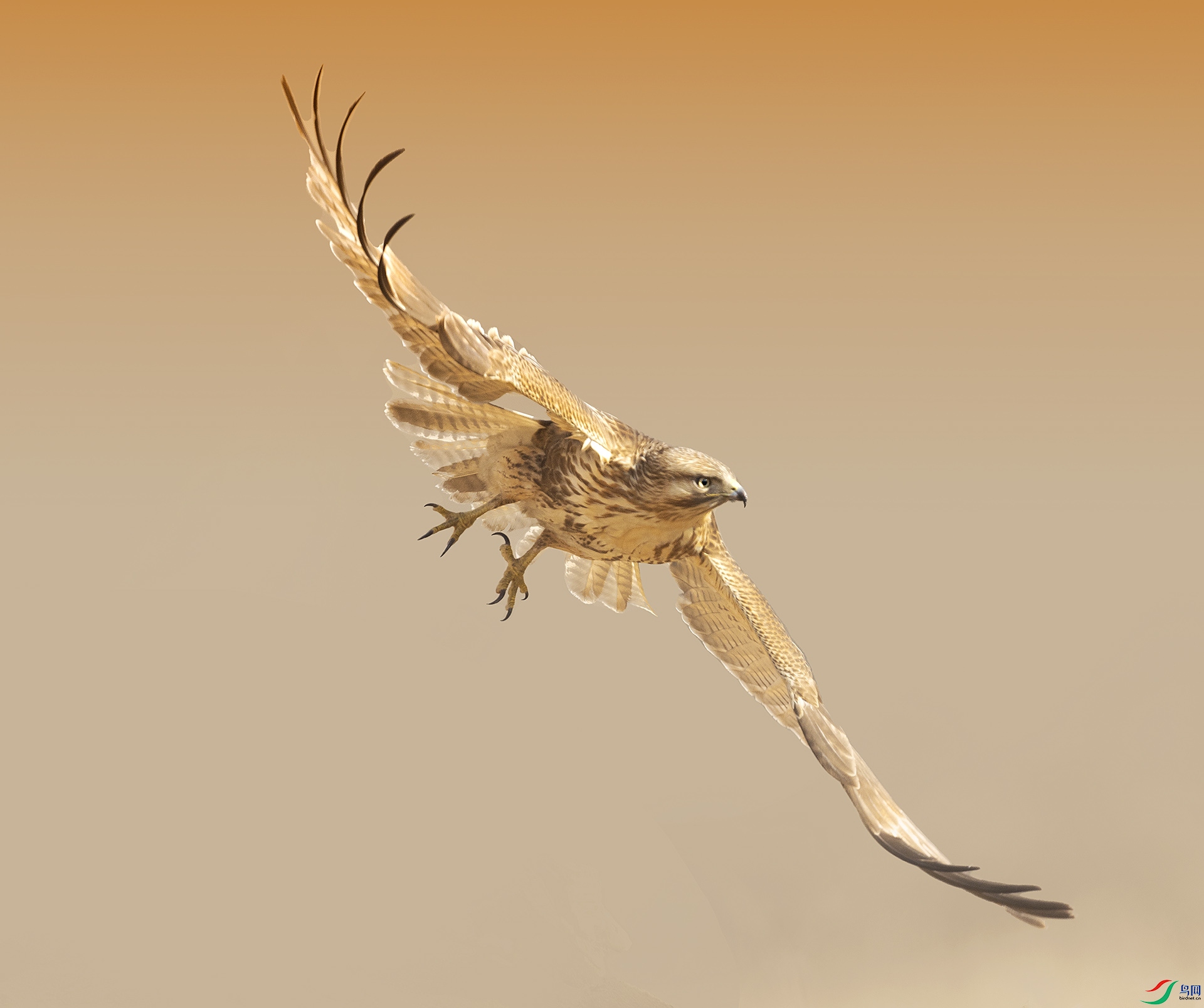 019A1507 ����.jpg