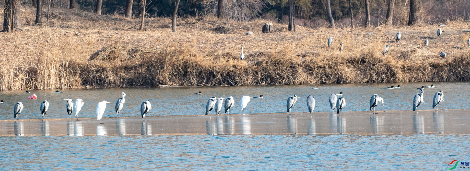 DSC_3685.jpg