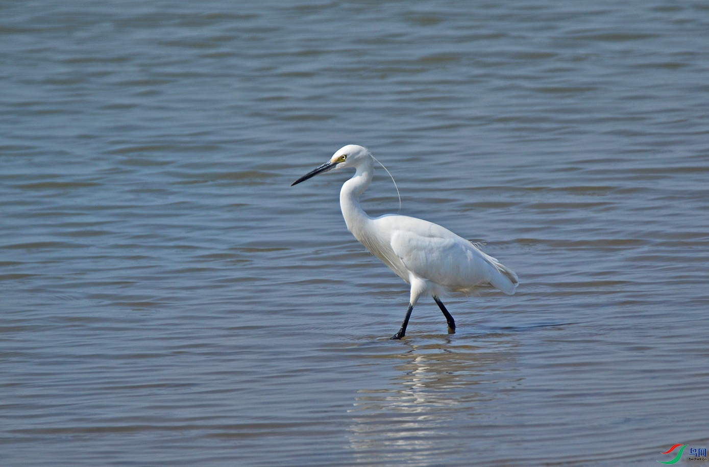 DSC_0819.jpg