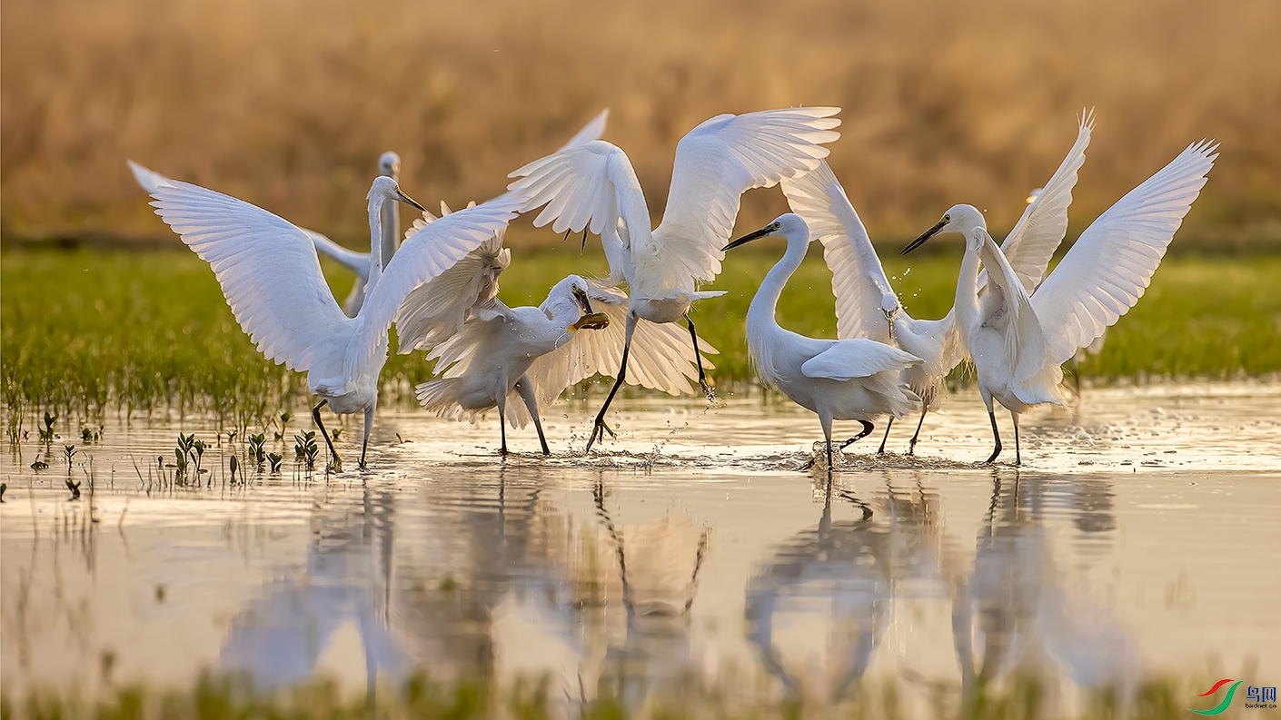 ����֮��