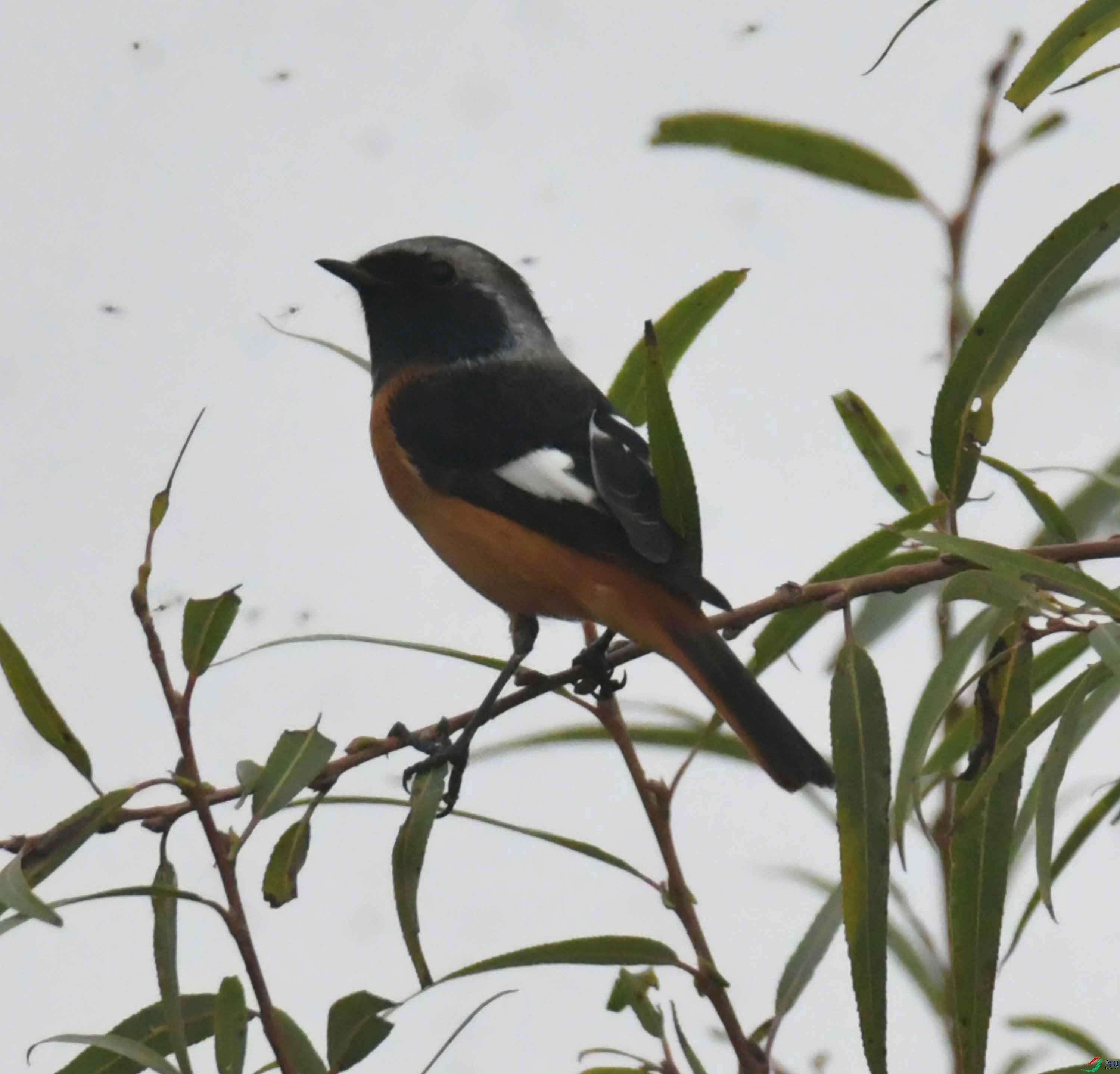 DSC_3284.JPG