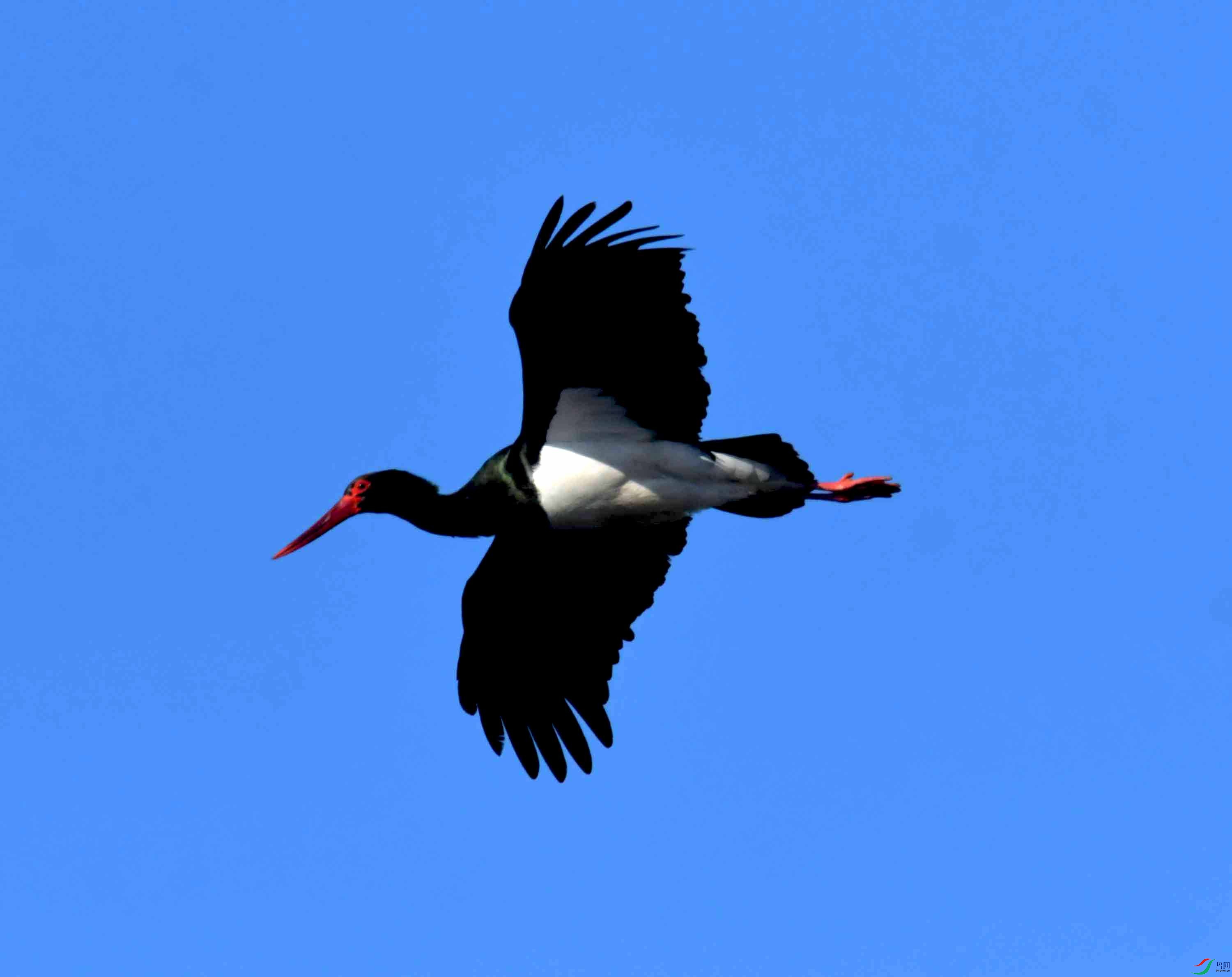 DSC_0631.JPG