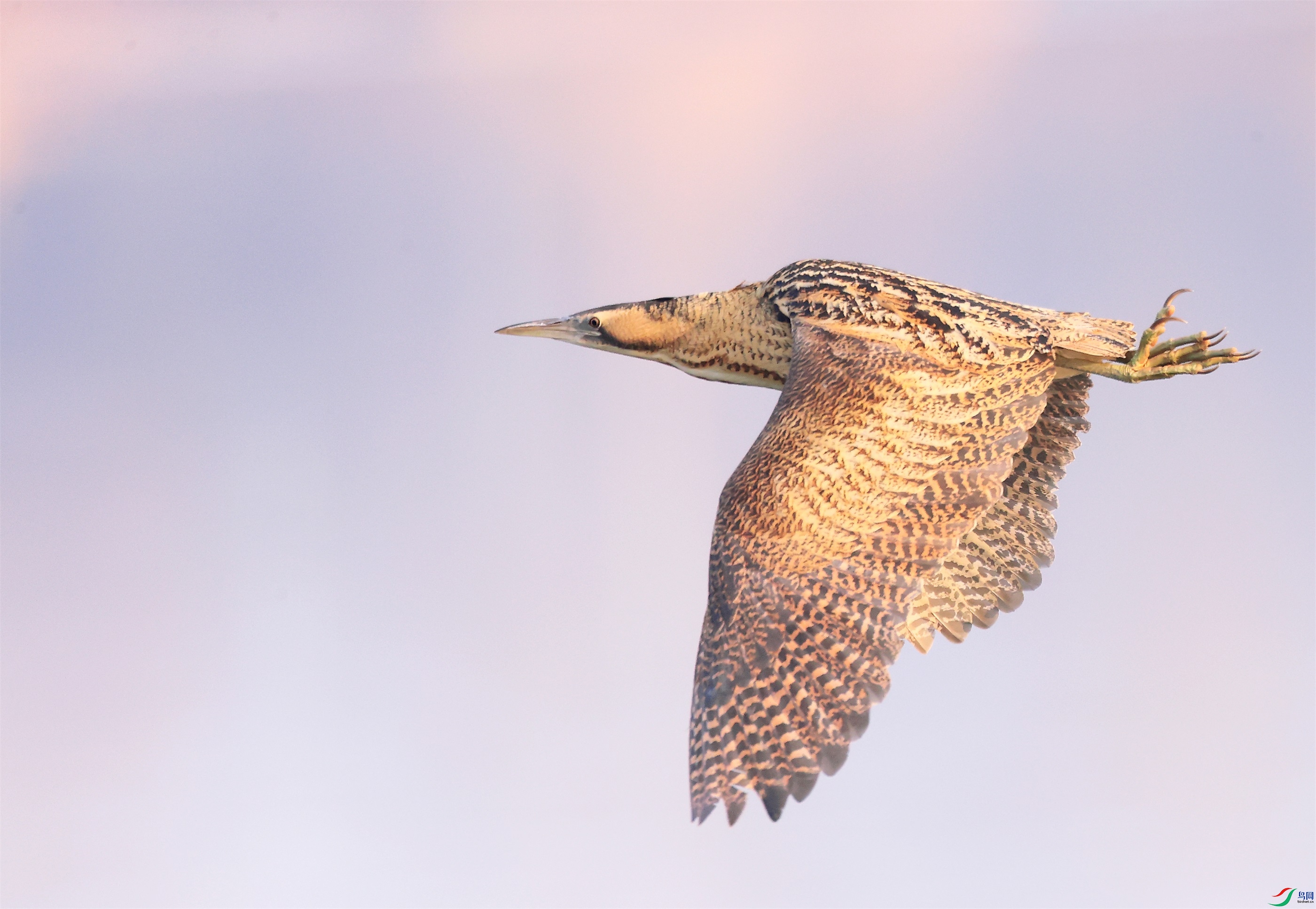 2 - ����.JPG