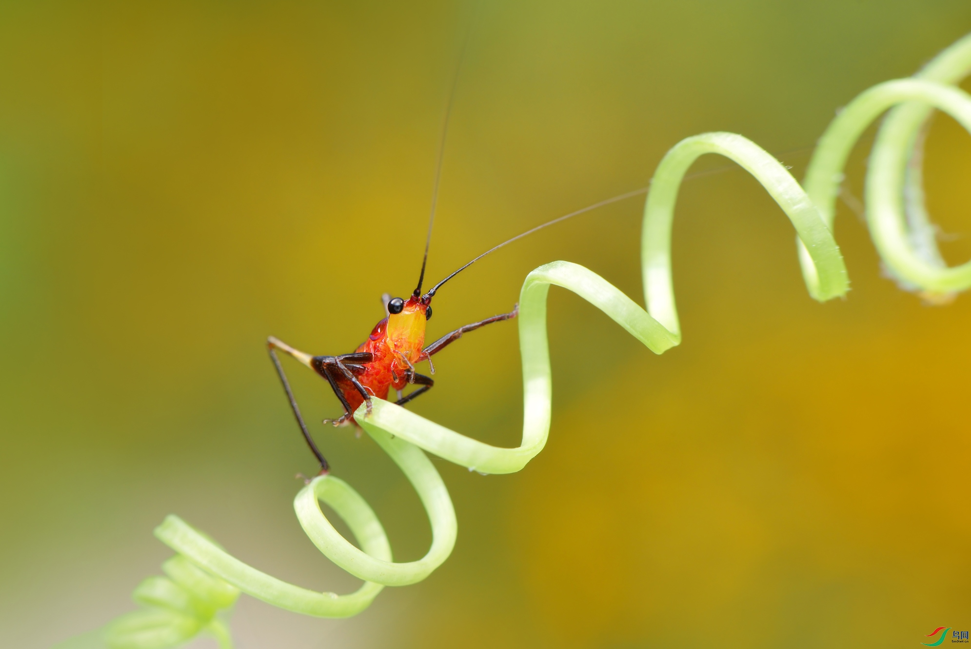 DSC_3057 ����.jpg