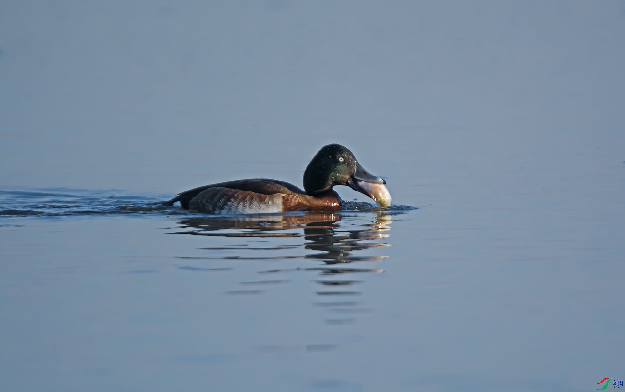 DSC_2516.jpg