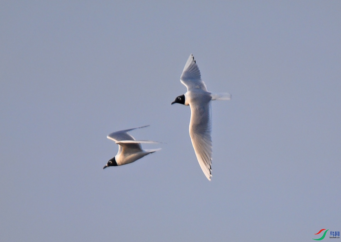 DSC_1940f_��ͼ��.jpg