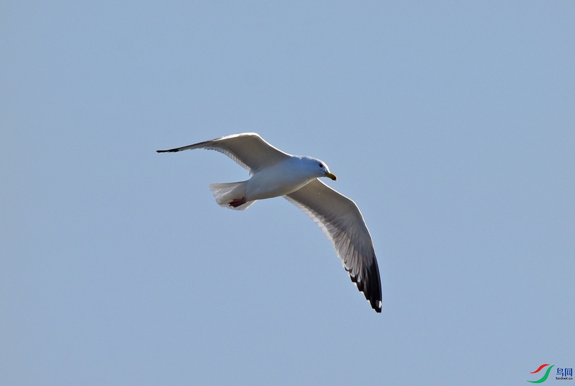 DSC_7299.jpg