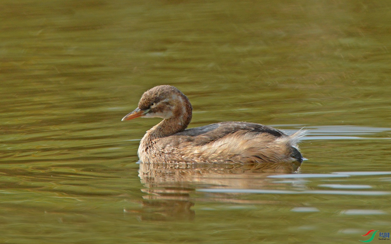 DSC_0472.jpg