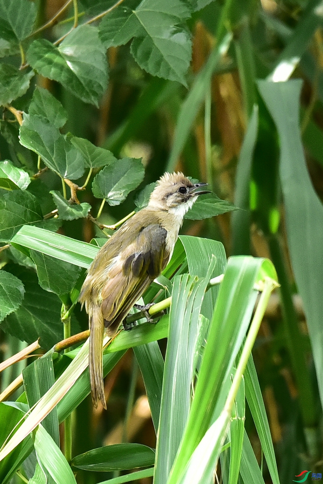 DSC_3503.JPG