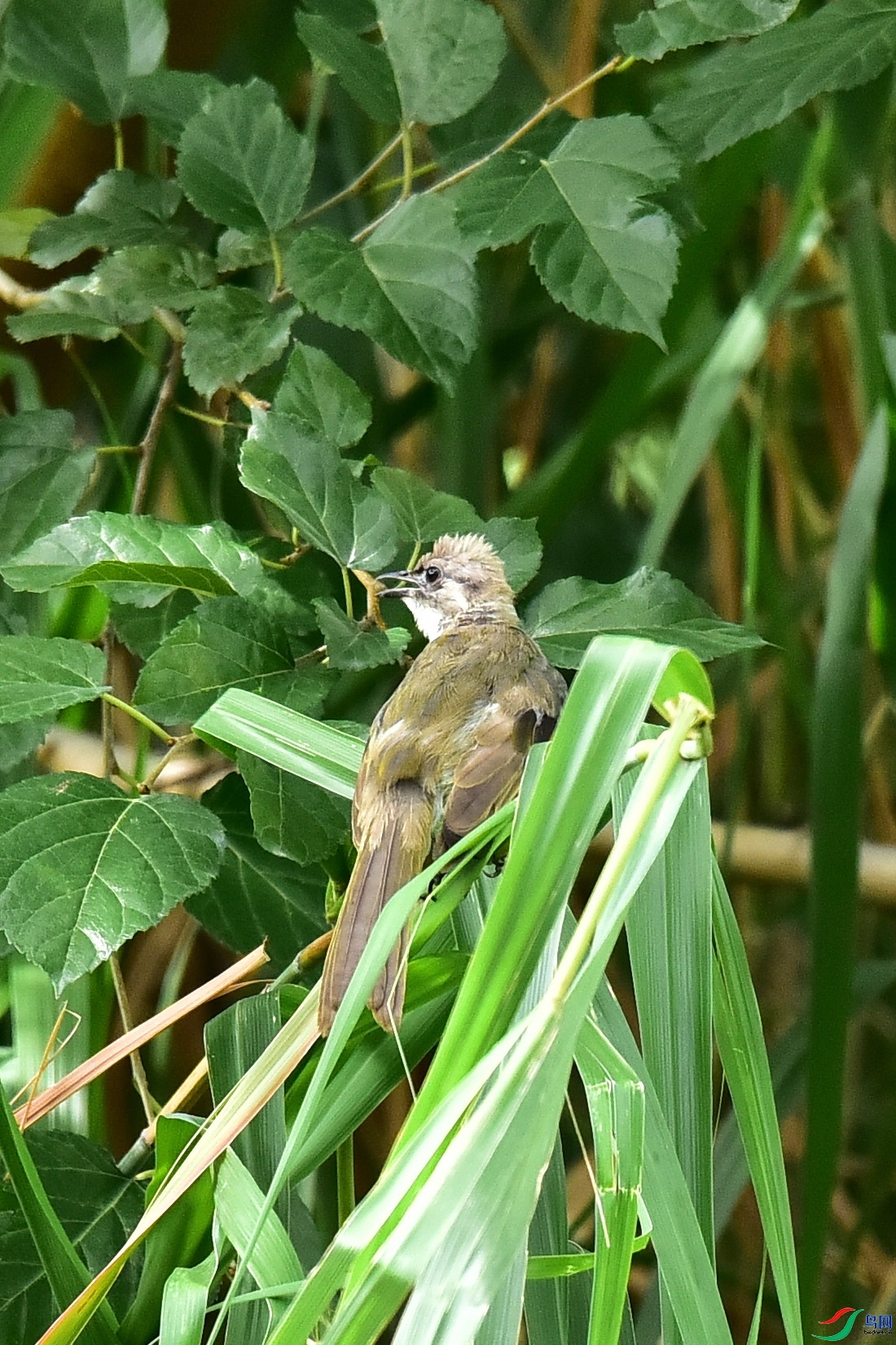 DSC_3498.JPG