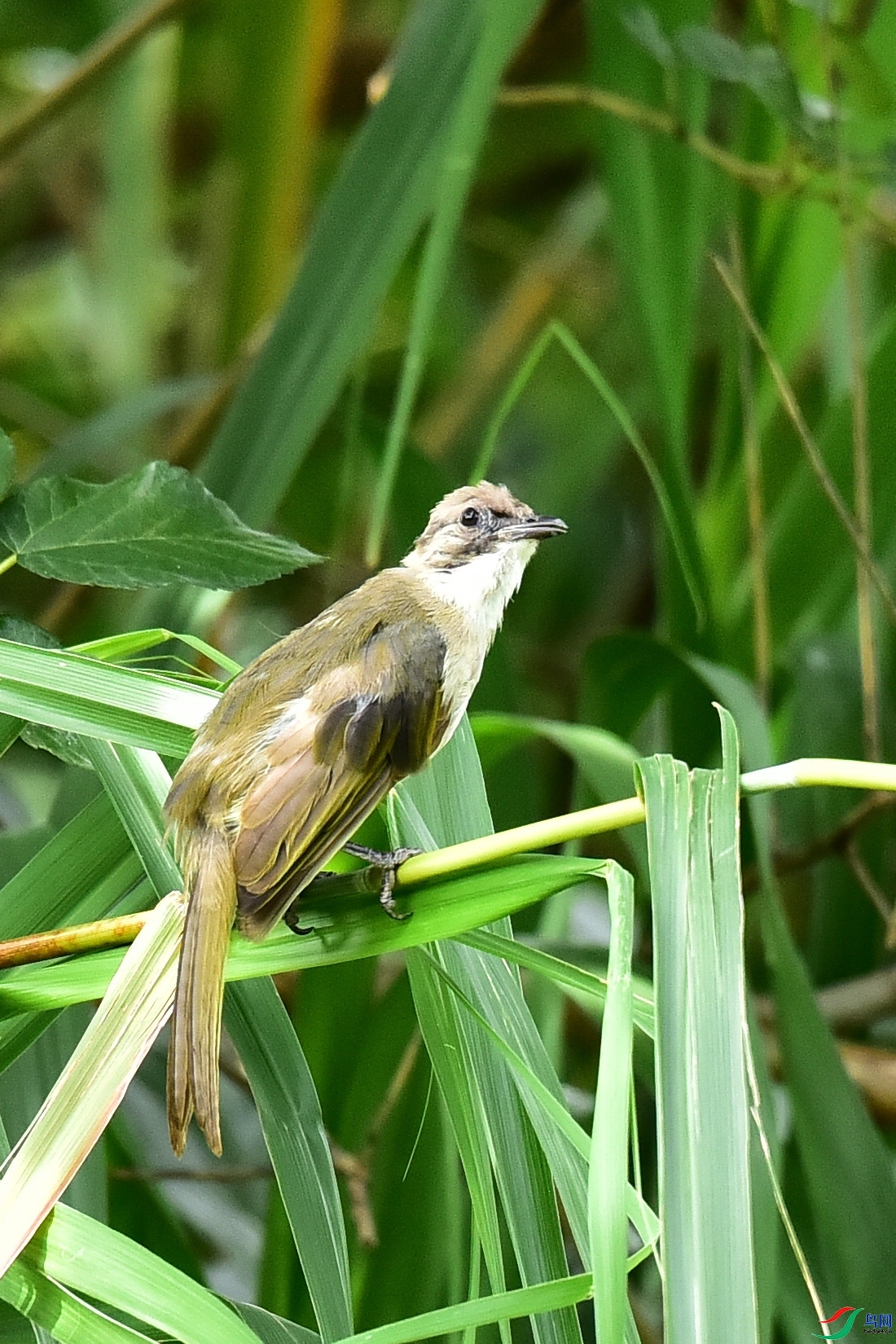 DSC_3520.JPG