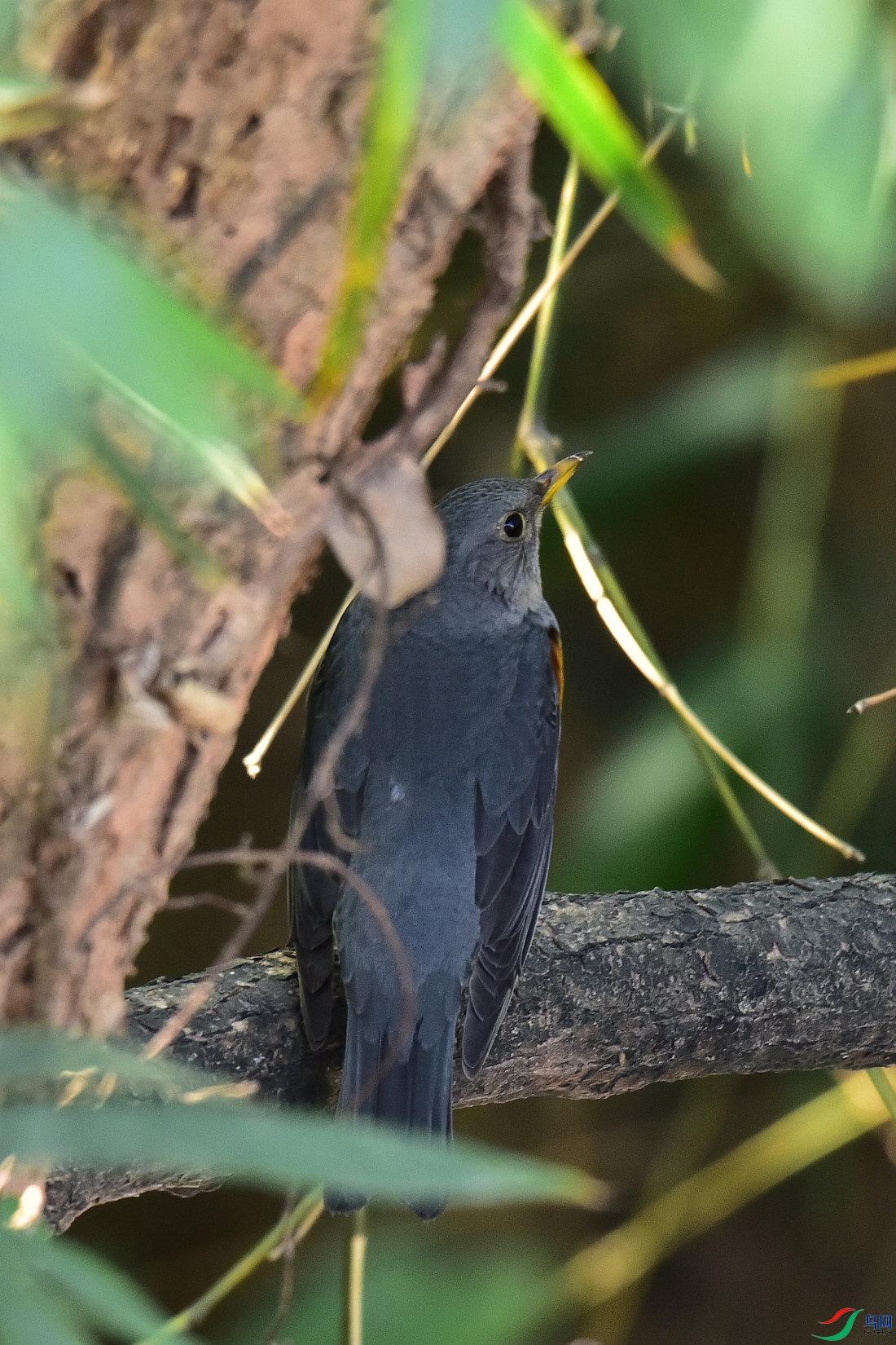 DSC_8516.JPG