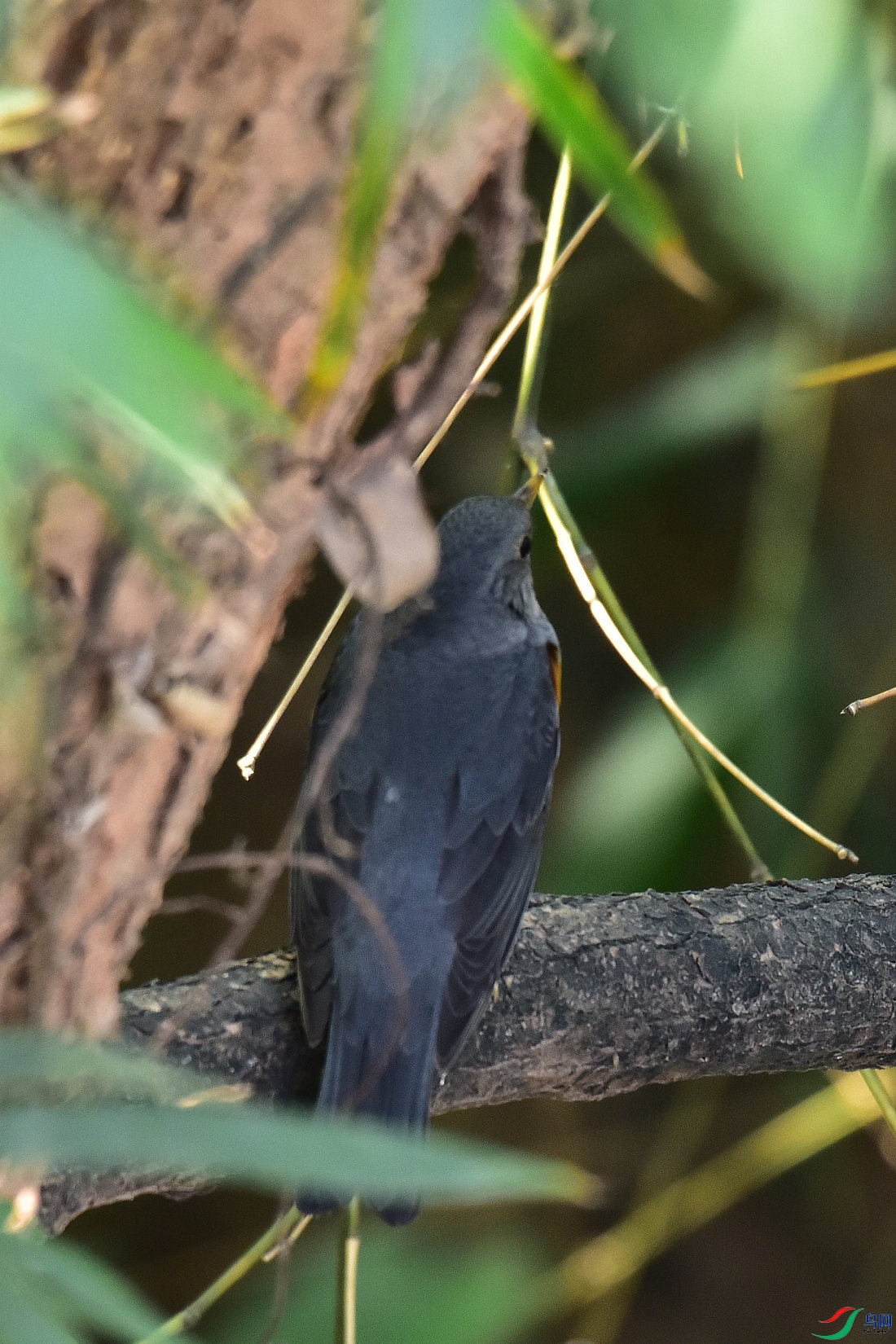 DSC_8511.JPG