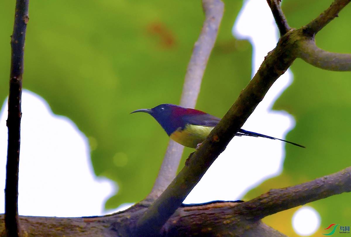 DSC_6934.JPG