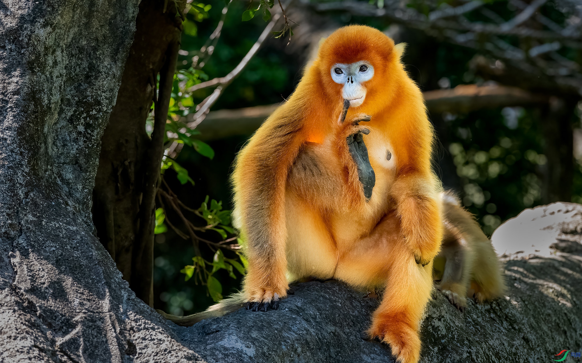 GUO_0386 ����L.jpg