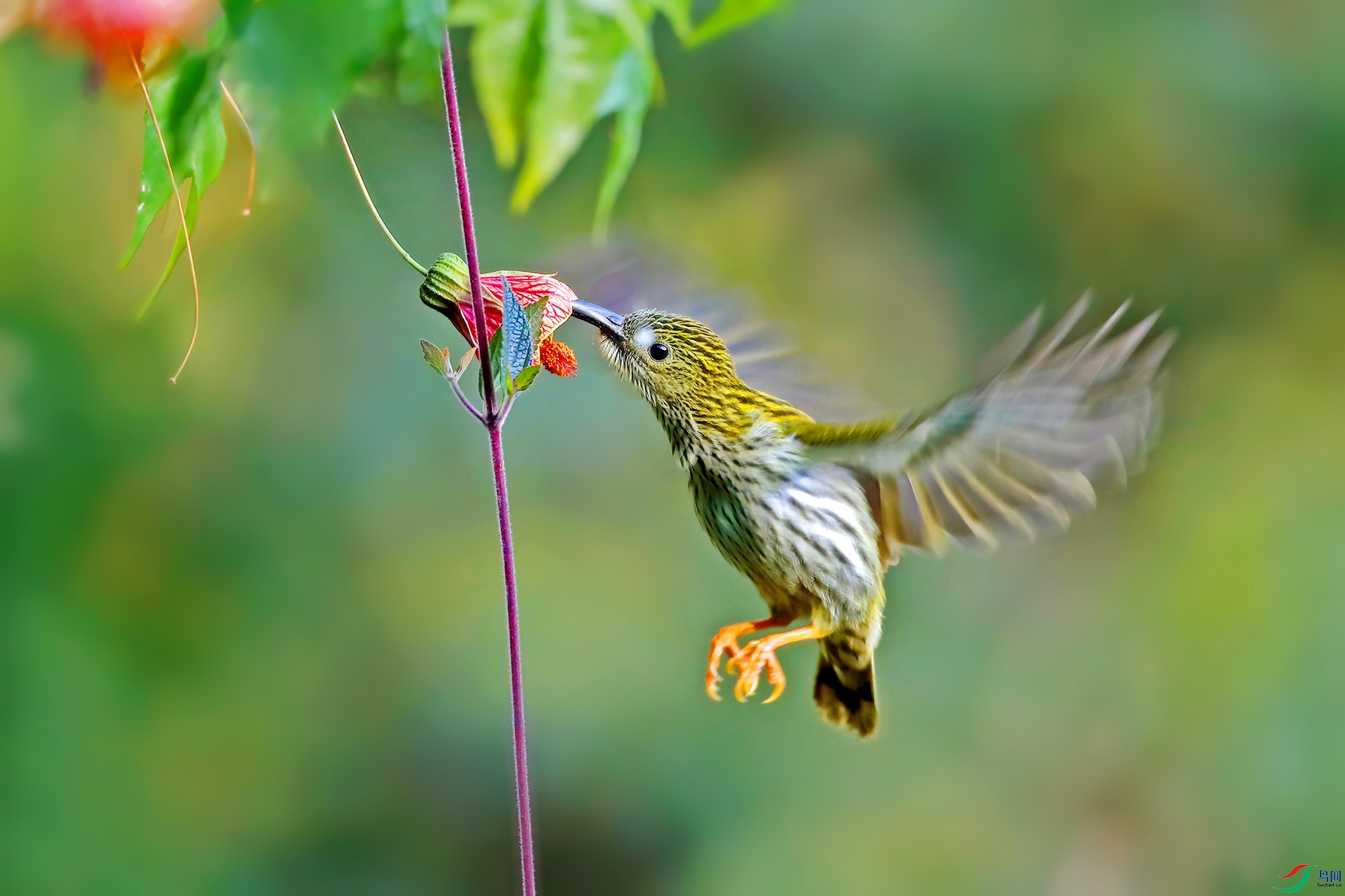 �Ʊ�������043-1.jpg
