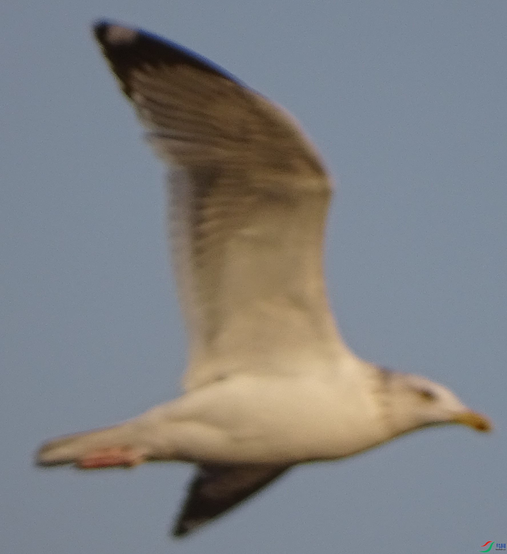 DSC00152.JPG