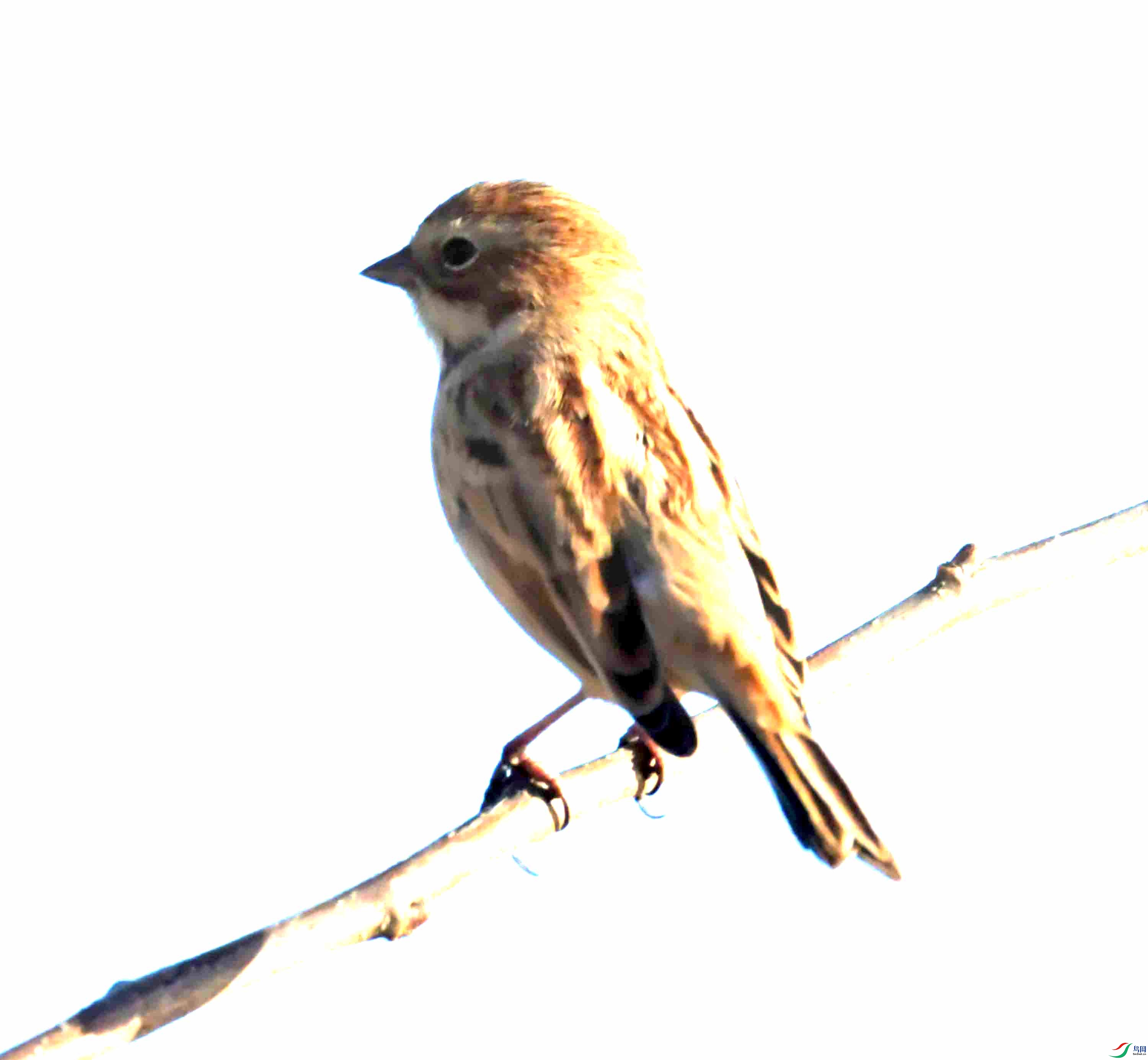 DSC_2013.JPG