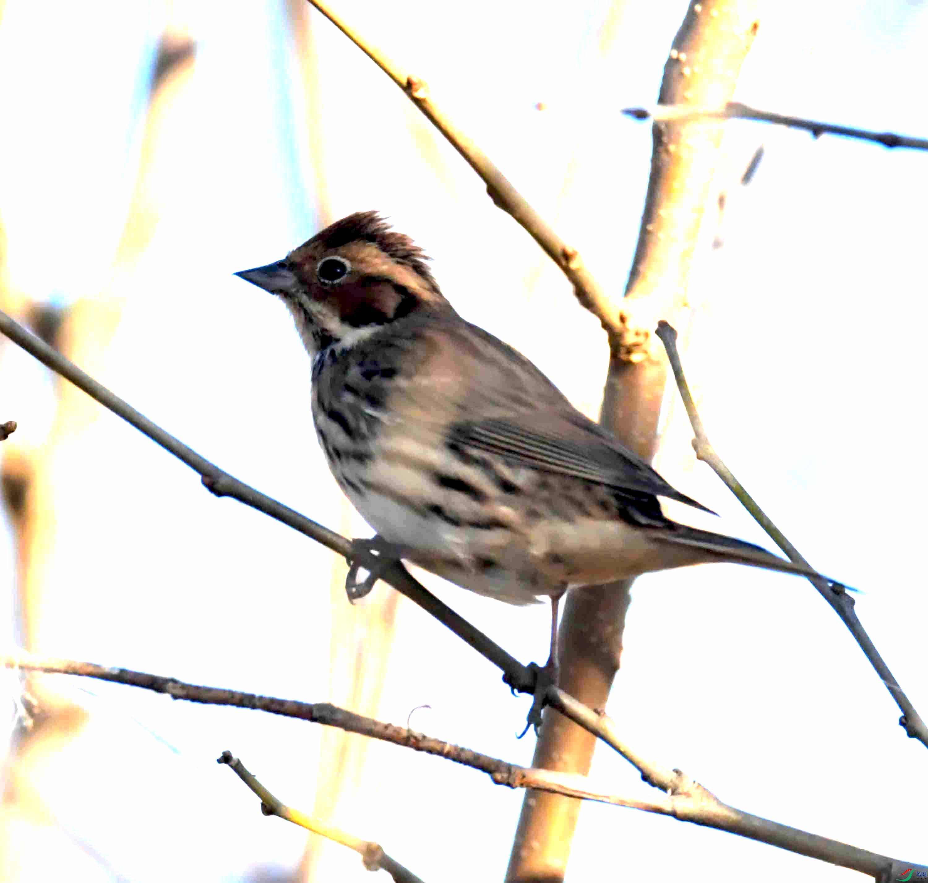 DSC_2022.JPG
