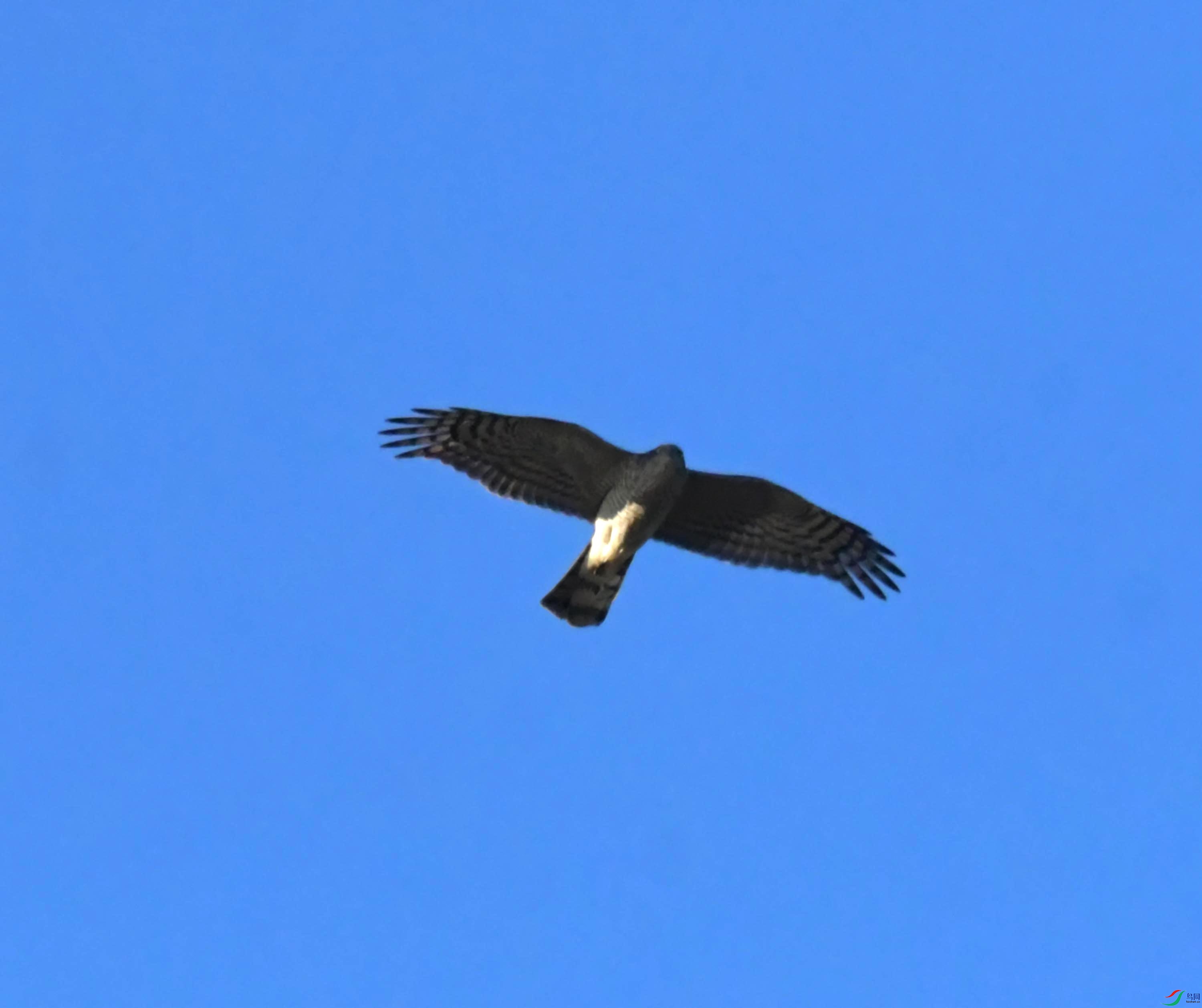 DSC_2926.JPG