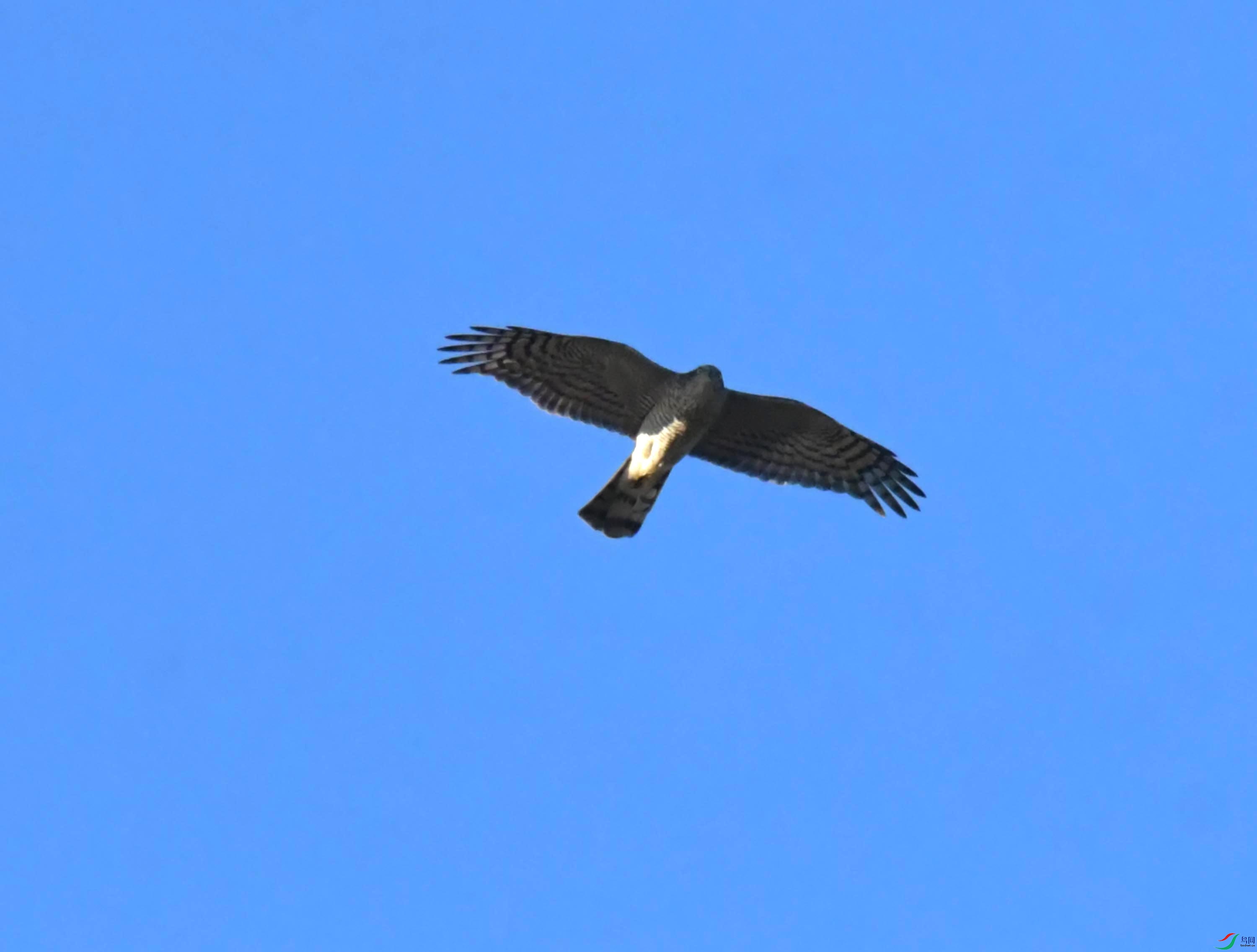 DSC_2927.JPG
