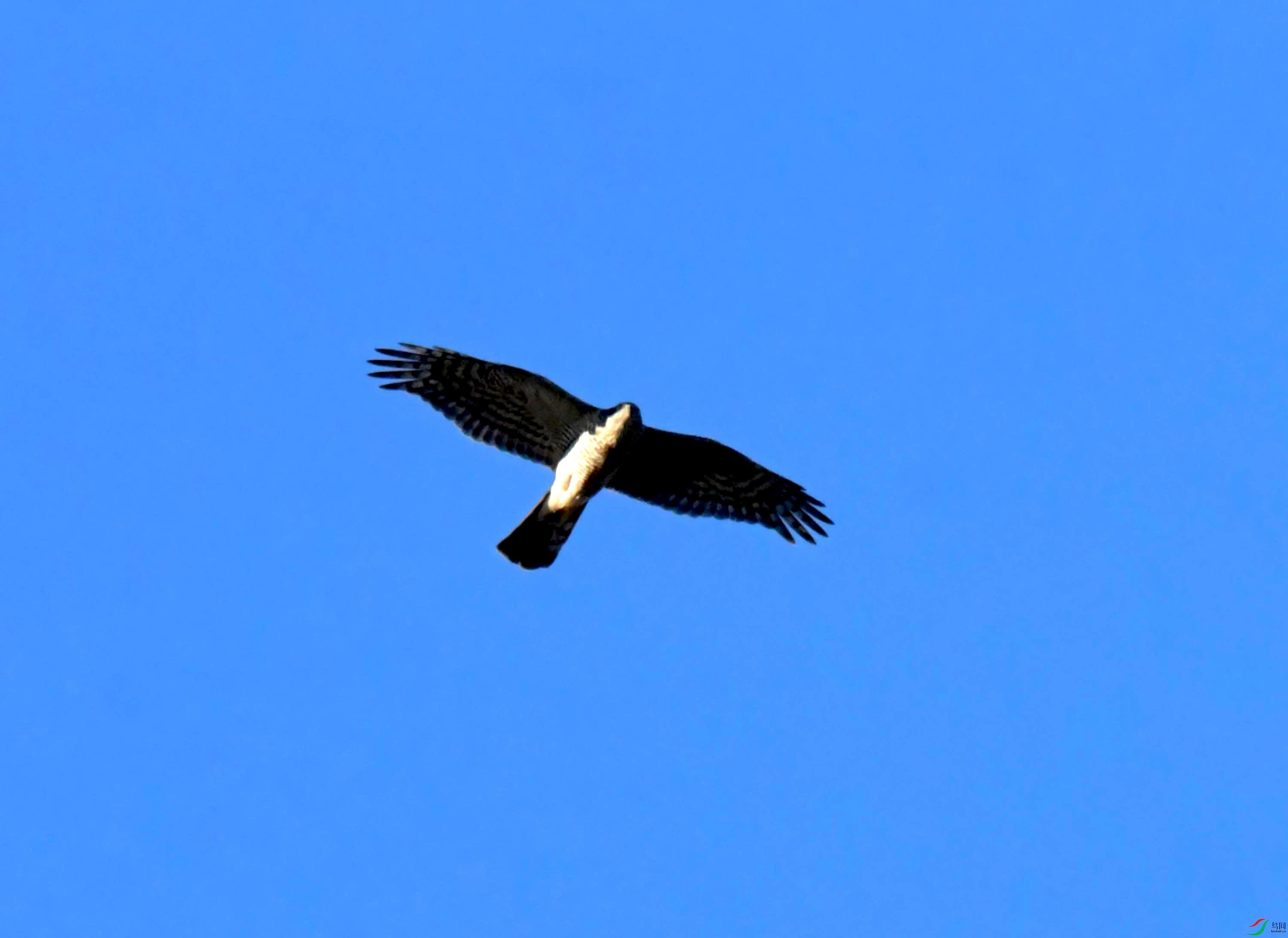 DSC_2928.JPG